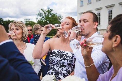 svatební fotograf - zámek Kačina